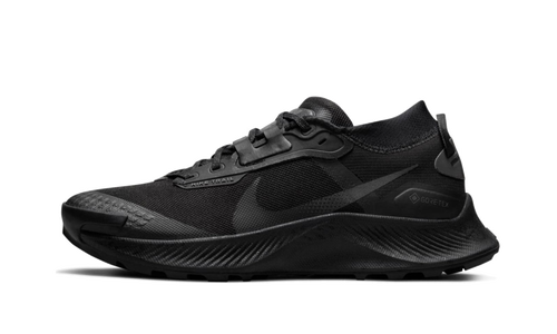 Pegasus Trail 3 Gore-Tex Wmns"Black" DC8794 001