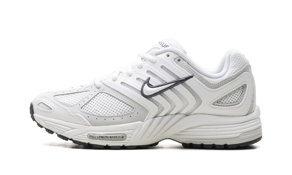 Air Pegasus 2005 WMNS"Summit White Photon Dust" HQ5718 103