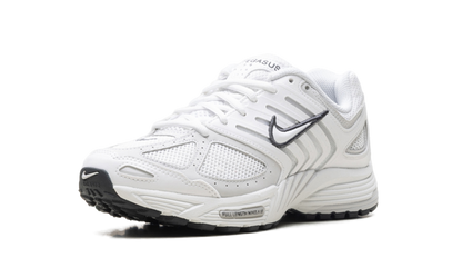 Air Pegasus 2005 WMNS"Summit White Photon Dust" HQ5718 103