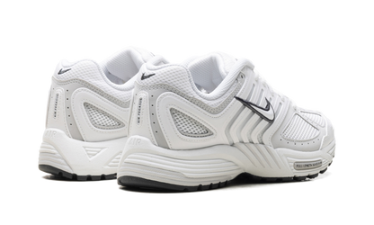 Air Pegasus 2005 WMNS"Summit White Photon Dust" HQ5718 103