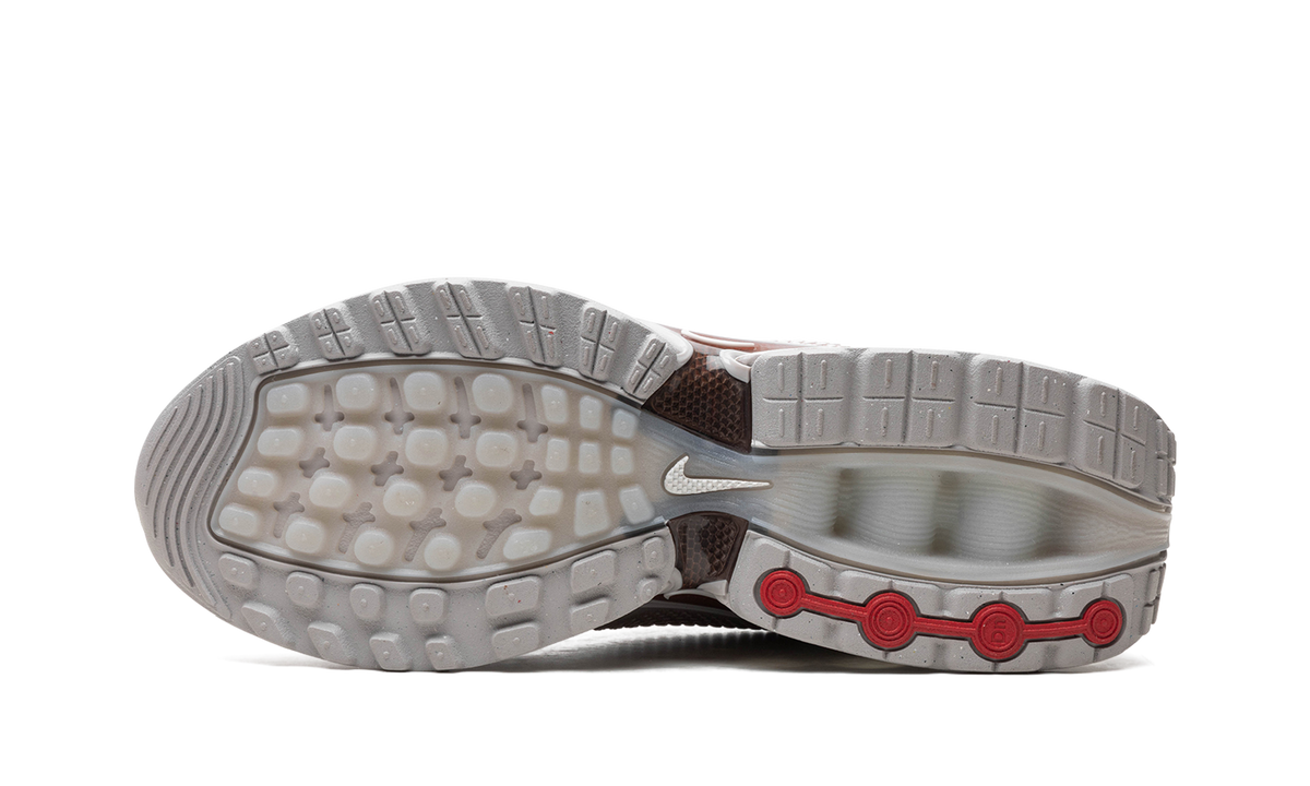 Air Max Dn"Light Orewood Brown" FJ3145 101